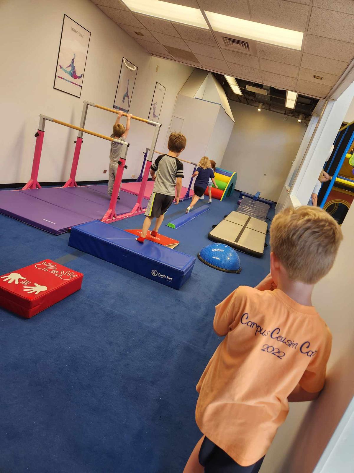 Gymnastics area